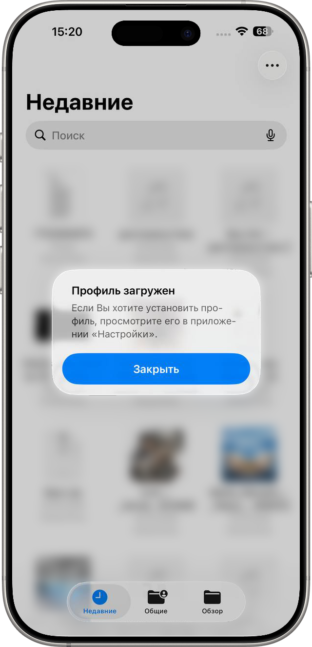 Профиль конфигурации загружен на iPhone